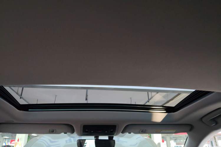 Used Lexus RX 2020 Revised Version 300 Two-Wheel Drive Elite Edition Headliner