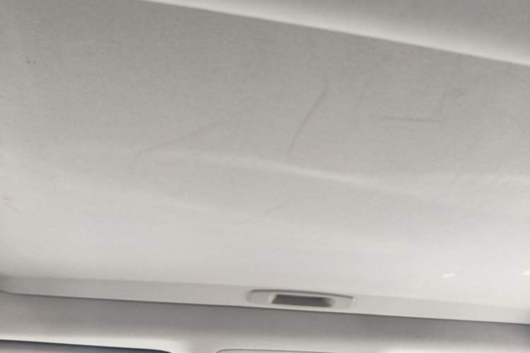 Used Lexus RX 2020 450h Four-Wheel Drive Elegant Edition China VI Standard Headliner