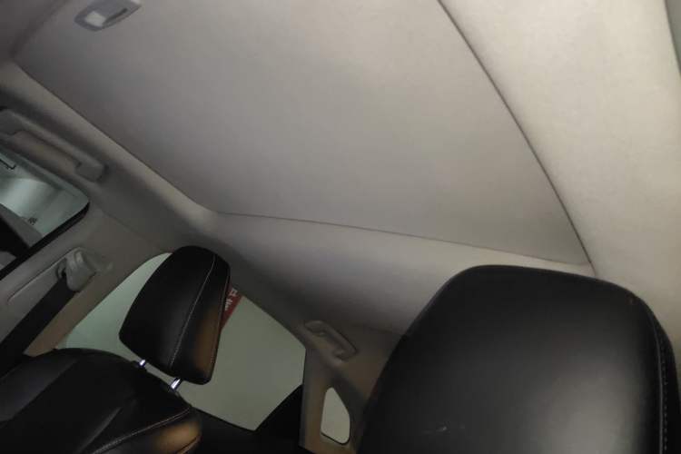 Used Lexus RX 2020 300 Two-Wheel Drive Elite Edition China VI Standard Headliner