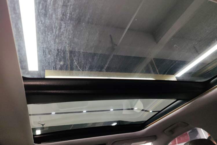 Used Lexus RX 2020 Facelifted 300 4x4 Elegant Edition Headliner