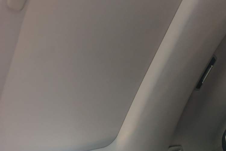 Used Lexus RX 2020 450h Four-Wheel Drive Elegant Edition China VI Standard Headliner