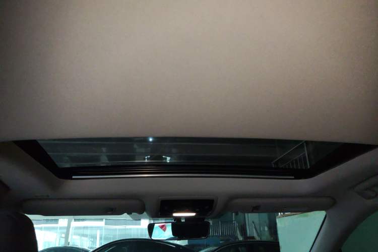 Used Lexus RX 2020 Revised Version 300 Two-Wheel Drive Elite Edition Headliner