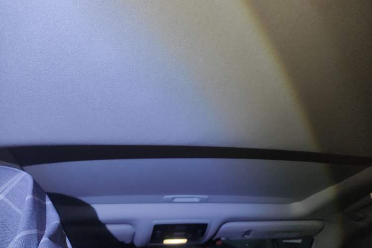 Used Lexus RX 2020 300 Two-Wheel Drive Elite Edition China VI Standard Headliner