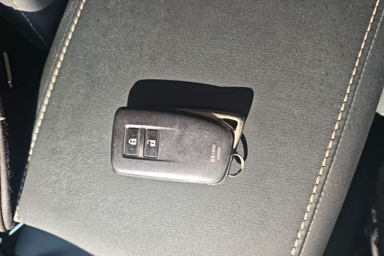 Used Lexus RX 2020 Revised Version 300 Two-Wheel Drive Elite Edition Interior 1