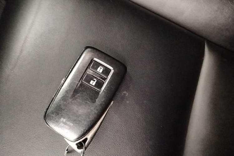 Used Lexus RX 2020 Revised Version 300 Two-Wheel Drive Elite Edition Interior 1