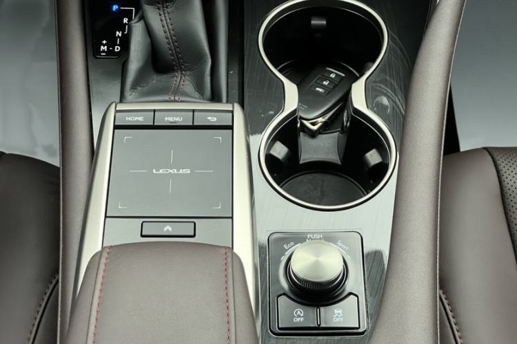 Used Lexus RX 2020 Revised Version 300 Two-Wheel Drive Comfort Edition Interior 1