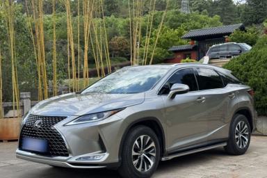 Used Lexus RX 2020 Revised Version 300 Two-Wheel Drive Elite Edition