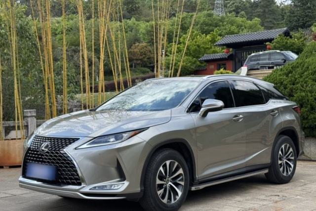 Used Lexus RX 2020 Revised Version 300 Two-Wheel Drive Elite Edition