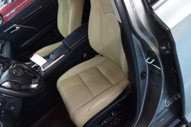 Used Lexus RX 2020 300 Two-Wheel Drive Elite Edition China VI Standard Left Front Seat