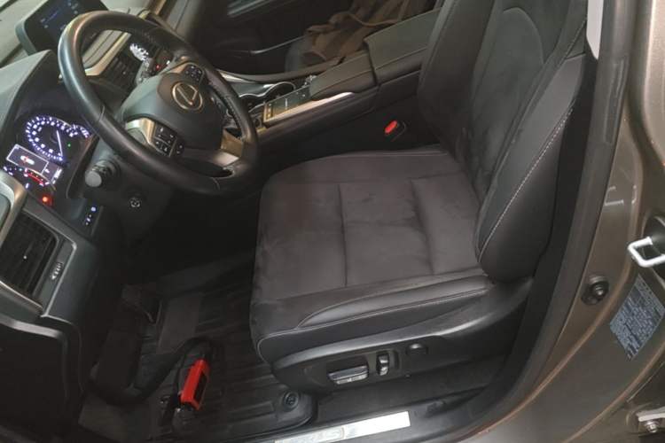Used Lexus RX 2020 300 Two-Wheel Drive Elite Edition China VI Standard Left Front Seat