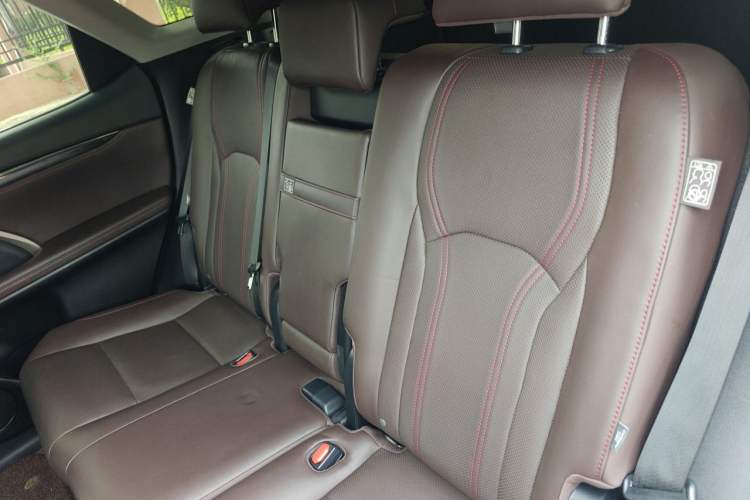 Used Lexus RX 2020 Revised Version 300 Two-Wheel Drive Comfort Edition Left Rear Seat