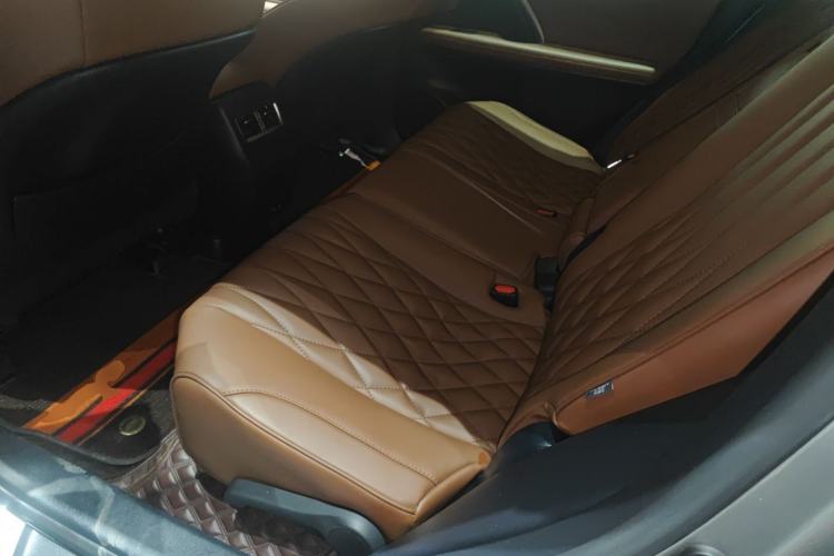 Used Lexus RX 2020 Revised Version 300 Two-Wheel Drive Elite Edition Left Rear Seat