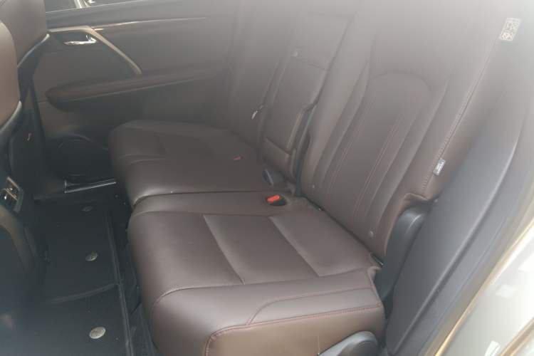 Used Lexus RX 2020 Facelifted 300 4x4 Elegant Edition Left Rear Seat