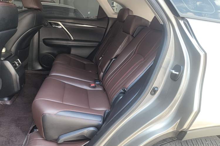 Used Lexus RX 2020 Revised Version 300 Two-Wheel Drive Elite Edition Left Rear Seat