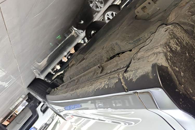 Used Lexus RX 2020 300 4x4 Elegant Edition China VI Left Side Sill