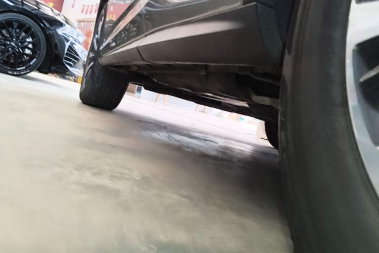 Used Lexus RX 2020 300 Two-Wheel Drive Elite Edition China VI Standard Left Side Sill