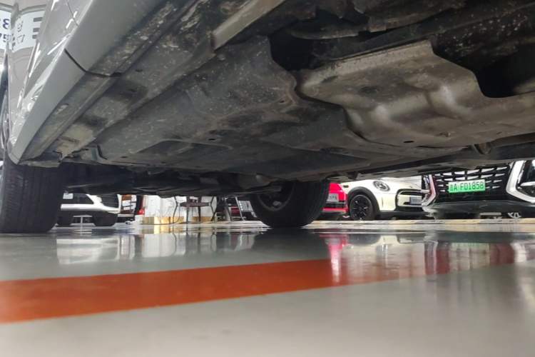 Used Lexus RX 2020 Revised Version 300 Two-Wheel Drive Elite Edition Left Side Sill