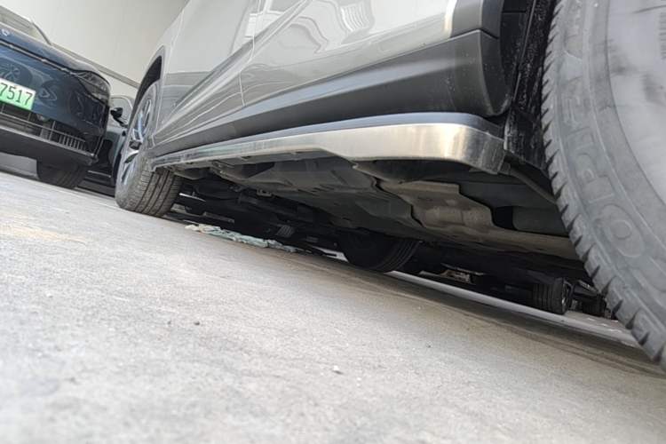 Used Lexus RX 2020 Revised Version 300 Two-Wheel Drive Elite Edition Left Side Sill