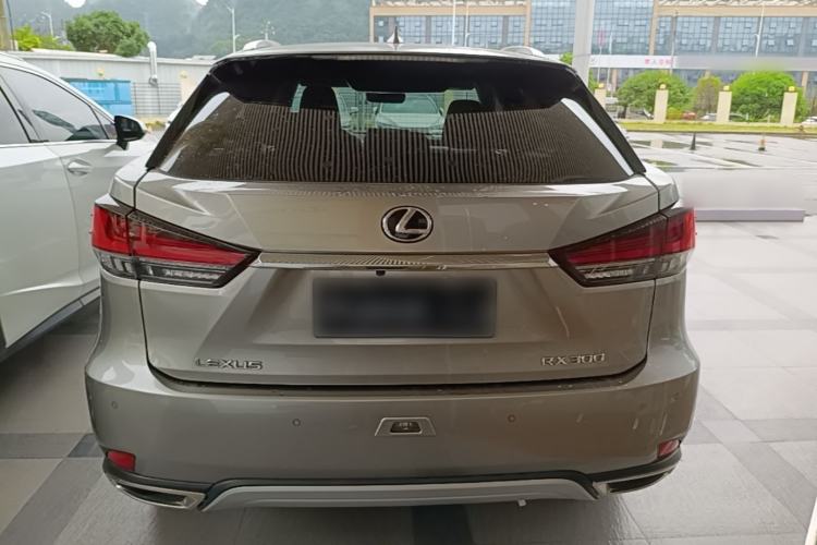 Used Lexus RX 2020 300 4x4 Elegant Edition China VI Rear