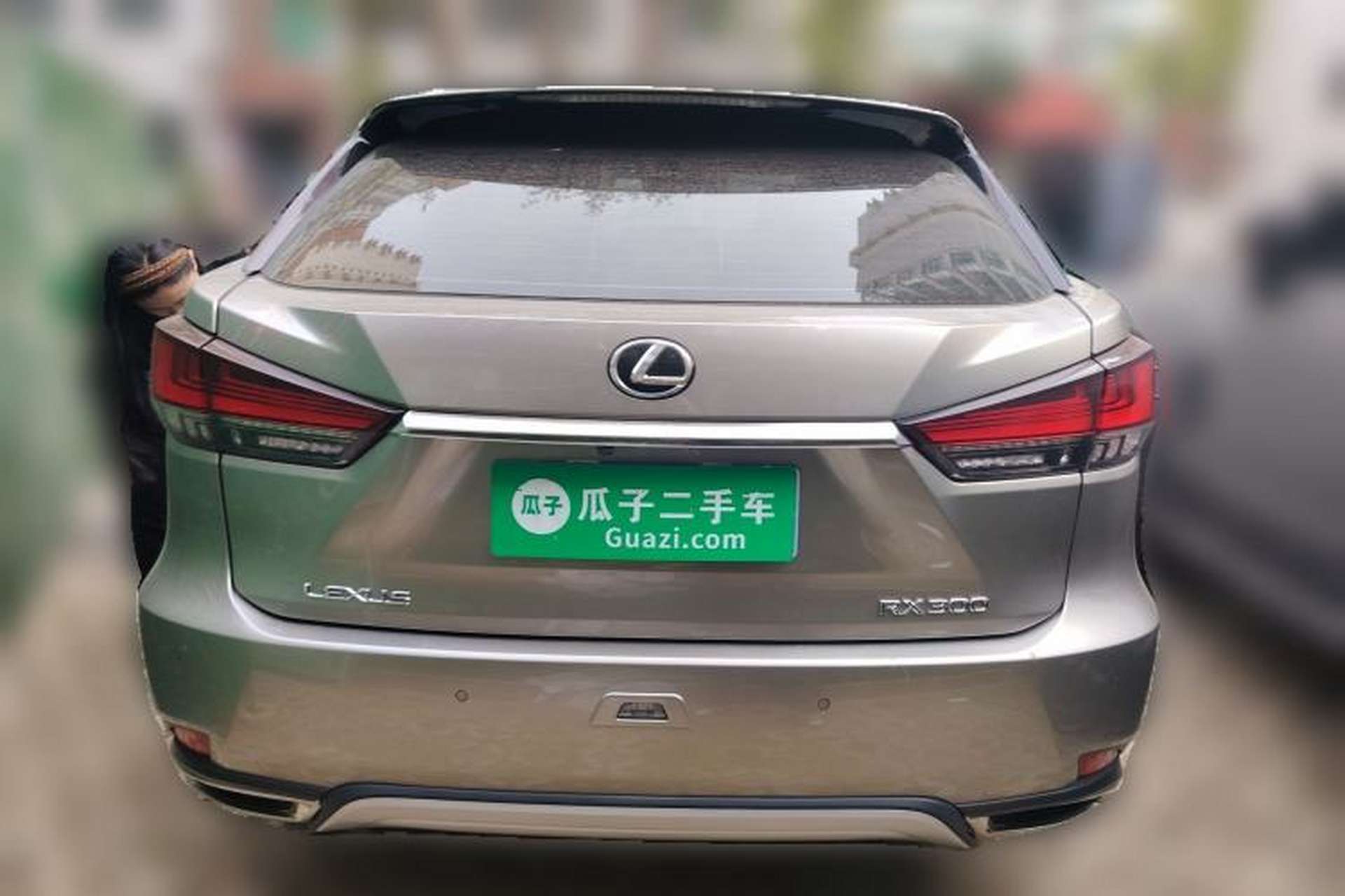 Used Lexus RX 2020 Revised Version 300 Two-Wheel Drive Elite Edition Rear