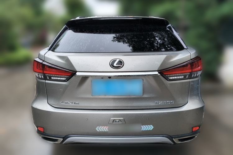 Used Lexus RX 2020 Facelifted 300 4x4 Elegant Edition Rear