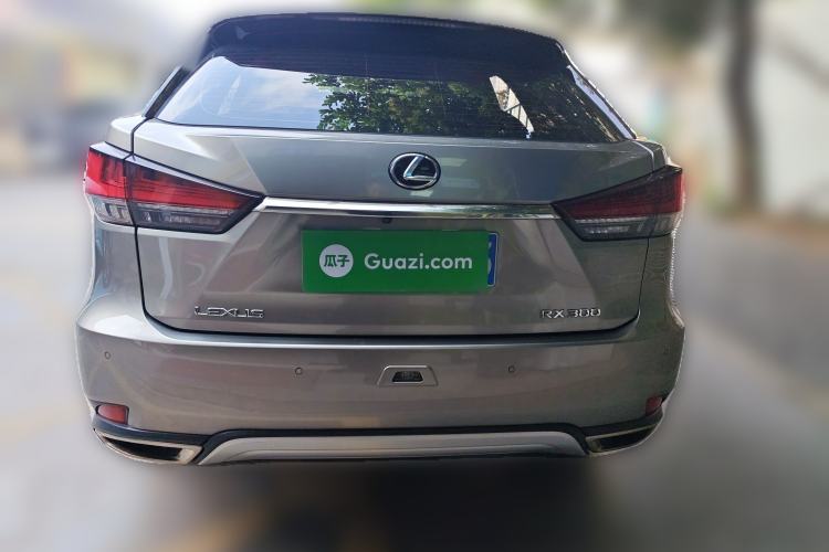 Used Lexus RX 2020 300 Two-Wheel Drive Comfort Edition China VI Standard Rear