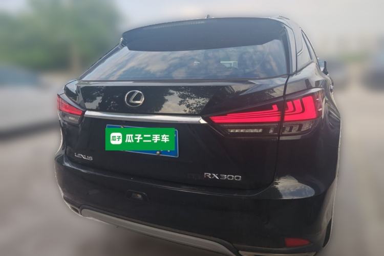 Used Lexus RX 2020 300 Two-Wheel Drive Elite Edition China VI Standard Rear