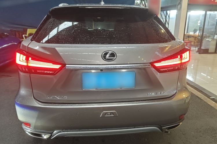Used Lexus RX 2020 300 Two-Wheel Drive Elite Edition China VI Standard Rear