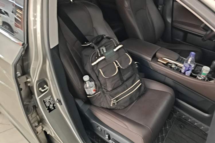 Used Lexus RX 2020 Facelifted 300 4x4 Elegant Edition Right Front Seat