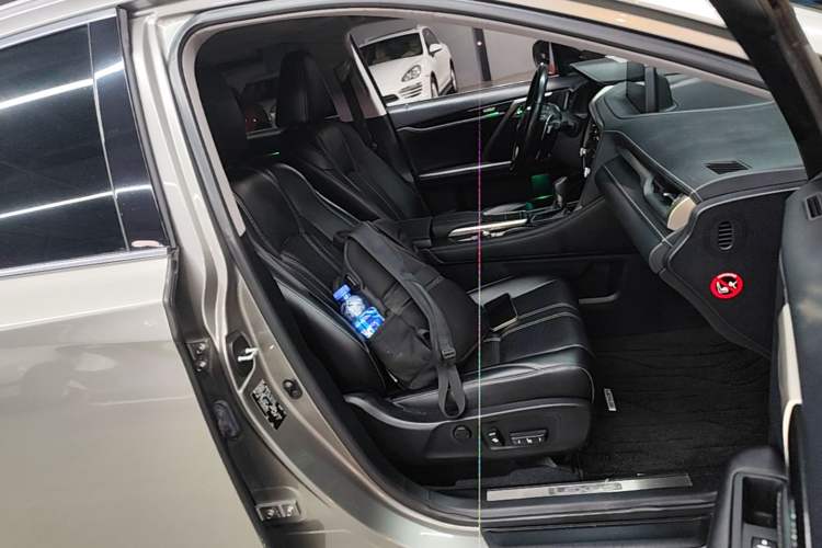 Used Lexus RX 2020 Revised Version 300 Two-Wheel Drive Elite Edition Right Front Seat