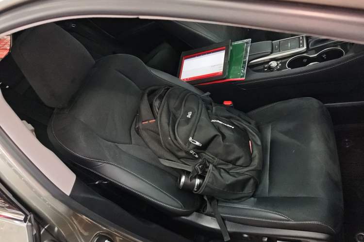 Used Lexus RX 2020 Revised Version 300 Two-Wheel Drive Elite Edition Right Front Seat