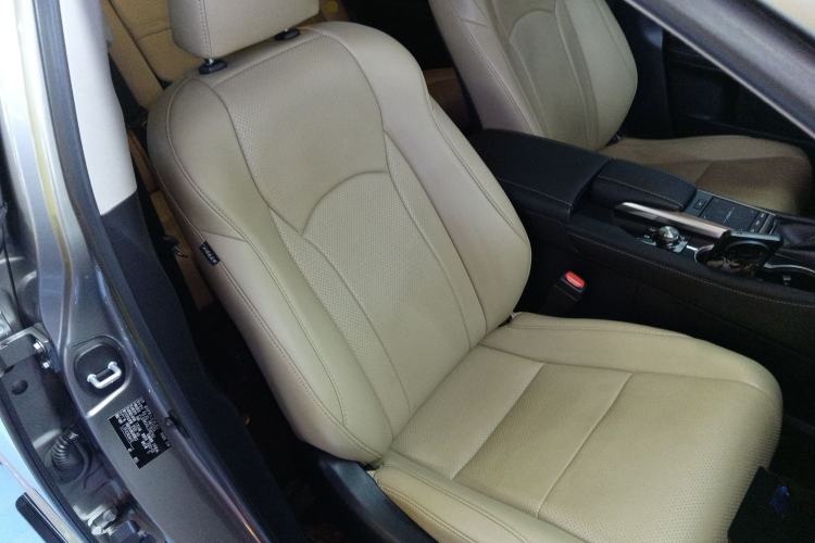 Used Lexus RX 2020 300 Two-Wheel Drive Elite Edition China VI Standard Right Front Seat
