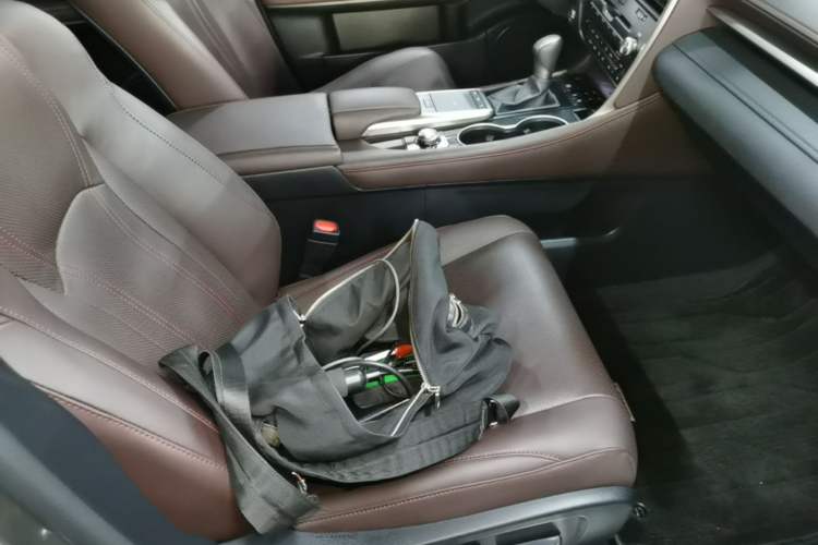 Used Lexus RX 2020 Revised Version 300 Two-Wheel Drive Comfort Edition Right Front Seat