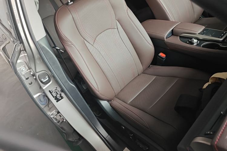 Used Lexus RX 2020 Facelifted 300 4x4 Elegant Edition Right Front Seat