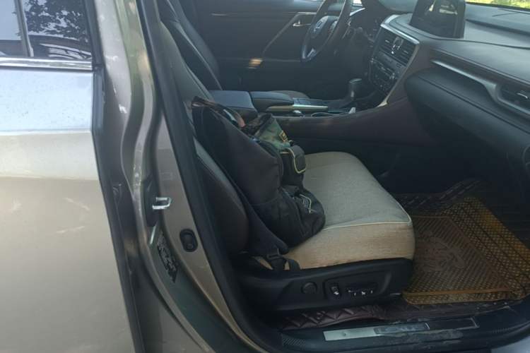 Used Lexus RX 2020 Revised Version 300 Two-Wheel Drive Comfort Edition Right Front Seat