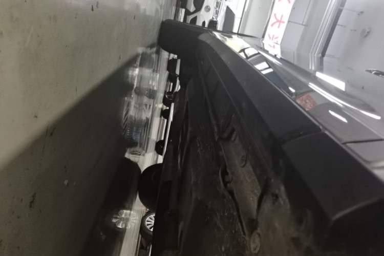 Used Lexus RX 2020 Revised Version 300 Two-Wheel Drive Elite Edition Right Side Sill