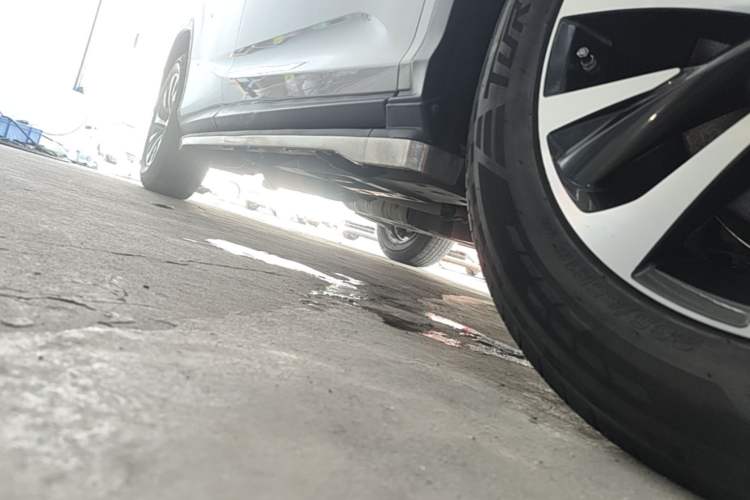 Used Lexus RX 2020 Revised Version 300 Two-Wheel Drive Elite Edition Right Side Sill