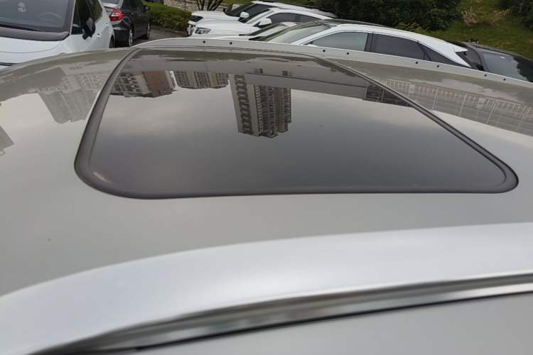 Used Lexus RX 2020 Revised Version 300 Two-Wheel Drive Elite Edition Roof