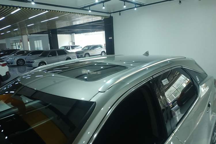 Used Lexus RX 2020 Revised Version 300 Two-Wheel Drive Elite Edition Roof