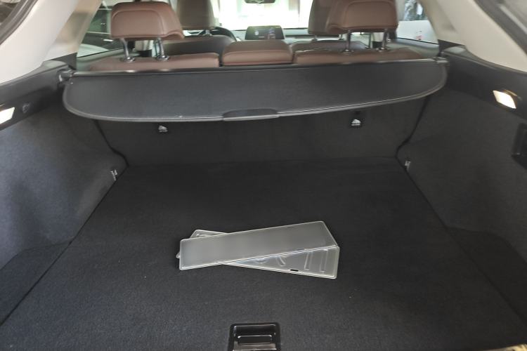 Used Lexus RX 2020 Facelifted 300 4x4 Elegant Edition Trunk