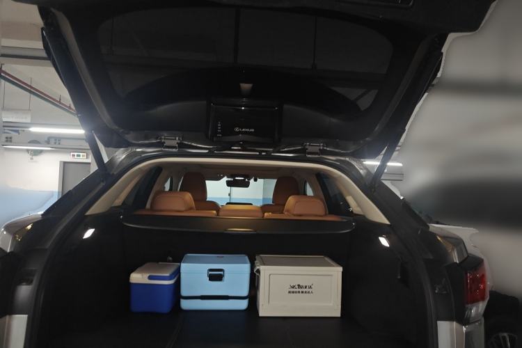 Used Lexus RX 2020 Facelifted 300 4x4 Elegant Edition Trunk