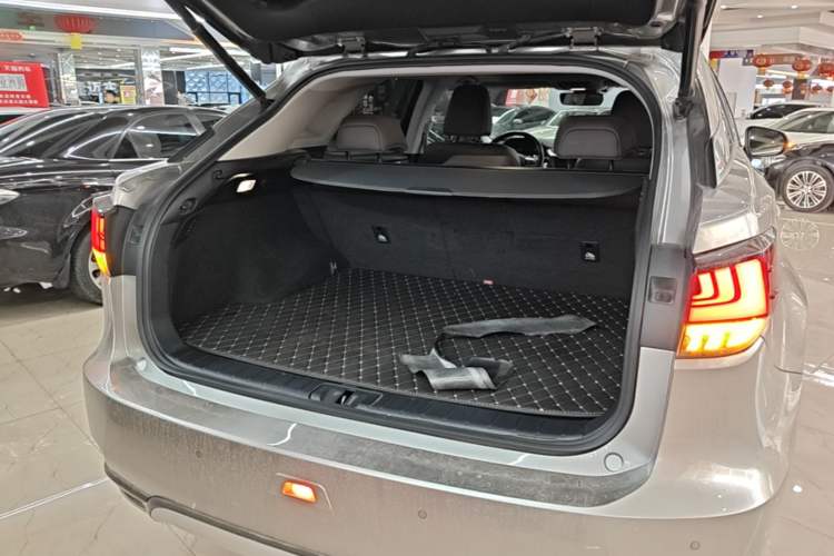 Used Lexus RX 2020 Facelifted 300 4x4 Elegant Edition Trunk