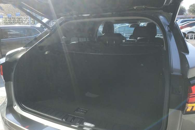 Used Lexus RX 2020 300 4x4 Elegant Edition China VI Trunk