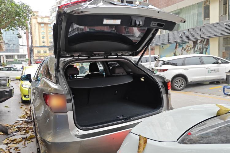 Used Lexus RX 2020 Facelifted 300 4x4 Elegant Edition Trunk