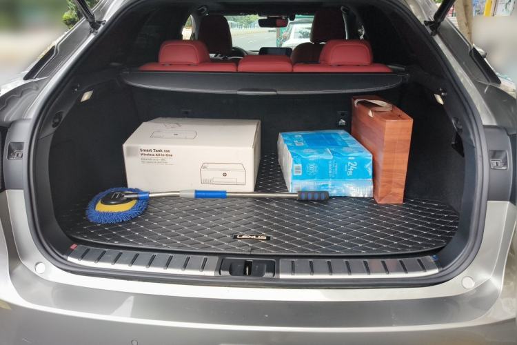 Used Lexus RX 2020 300 4x4 F SPORT China VI Trunk