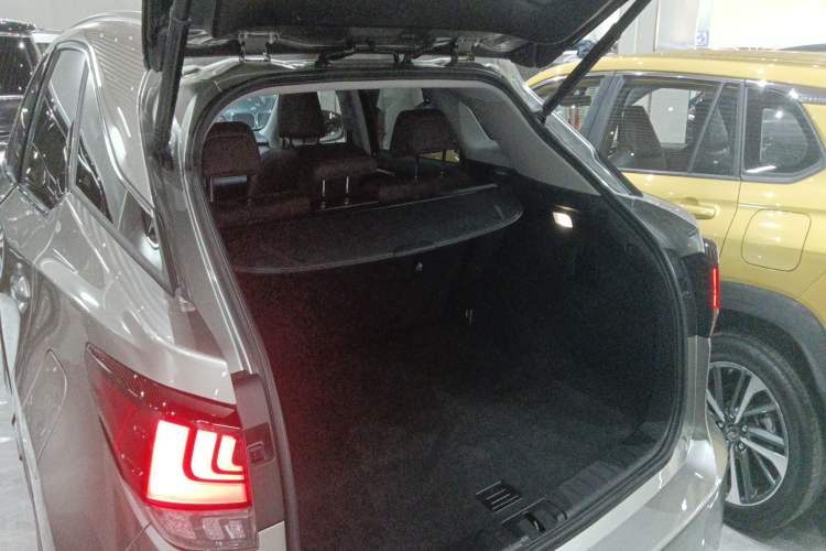 Used Lexus RX 2020 Facelifted 300 4x4 Elegant Edition Trunk