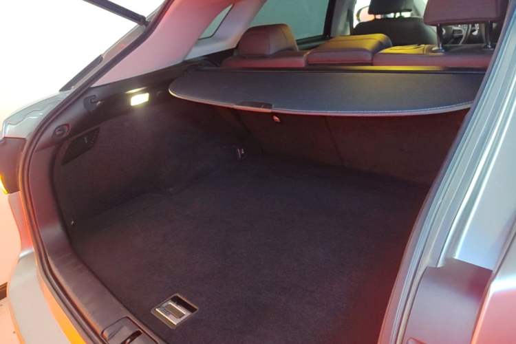 Used Lexus RX 2020 300 4x4 Elegant Edition China VI Trunk