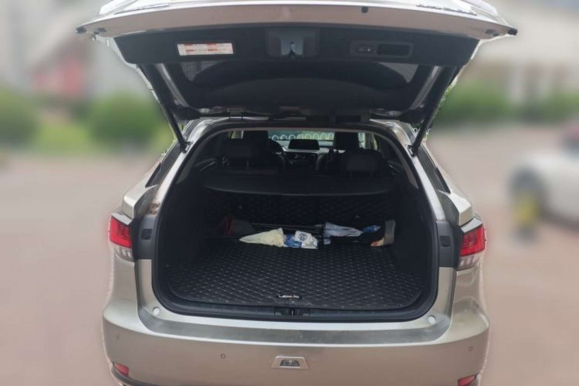 Used Lexus RX 2020 Facelifted 300 4x4 Elegant Edition Trunk