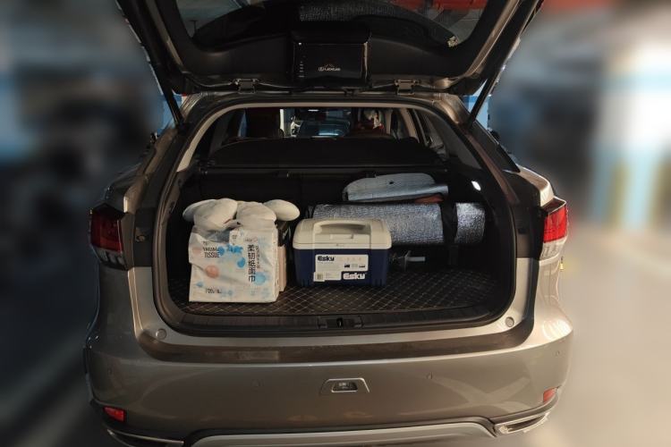 Used Lexus RX 2020 Revised Version 300 Two-Wheel Drive Comfort Edition Trunk