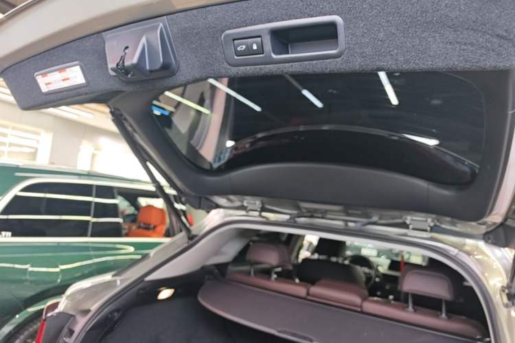 Used Lexus RX 2020 300 4x4 Elegant Edition China VI Trunk
